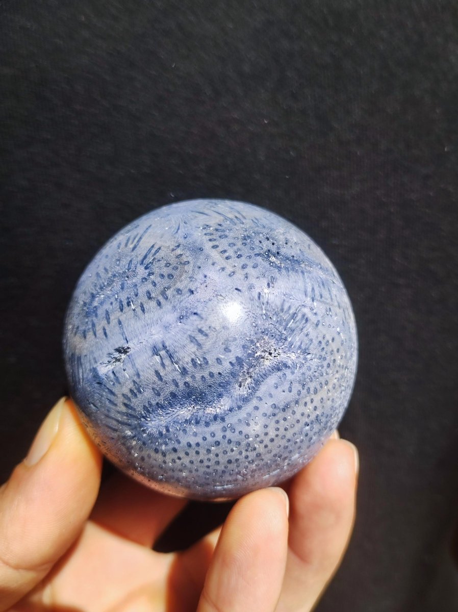 Blaue Koralle *Rarität - Edelstein Kugel Deko Sphere Kristall Sammler Meditation Heilstein Frau Mann Geschenk Er Sie Haus Energie Unikat - Art of Nature Berlin