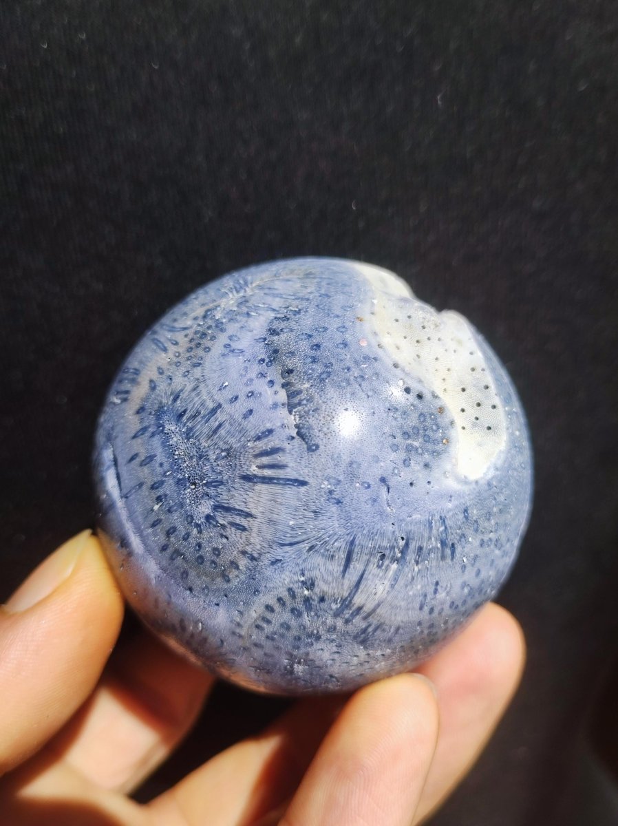 Blaue Koralle *Rarität - Edelstein Kugel Deko Sphere Kristall Sammler Meditation Heilstein Frau Mann Geschenk Er Sie Haus Energie Unikat - Art of Nature Berlin