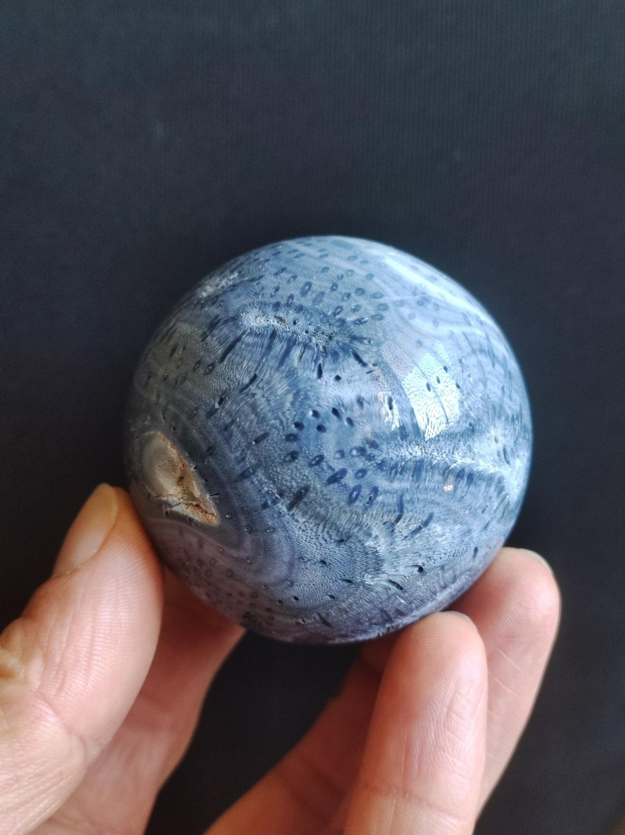 Blaue Koralle *Rarität - Edelstein Kugel Deko Sphere Kristall Sammler Meditation Heilstein Frau Mann Geschenk Er Sie Haus Energie Unikat - Art of Nature Berlin