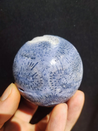 Blaue Koralle *Rarität - Edelstein Kugel Deko Sphere Kristall Sammler Meditation Heilstein Frau Mann Geschenk Er Sie Haus Energie Unikat - Art of Nature Berlin