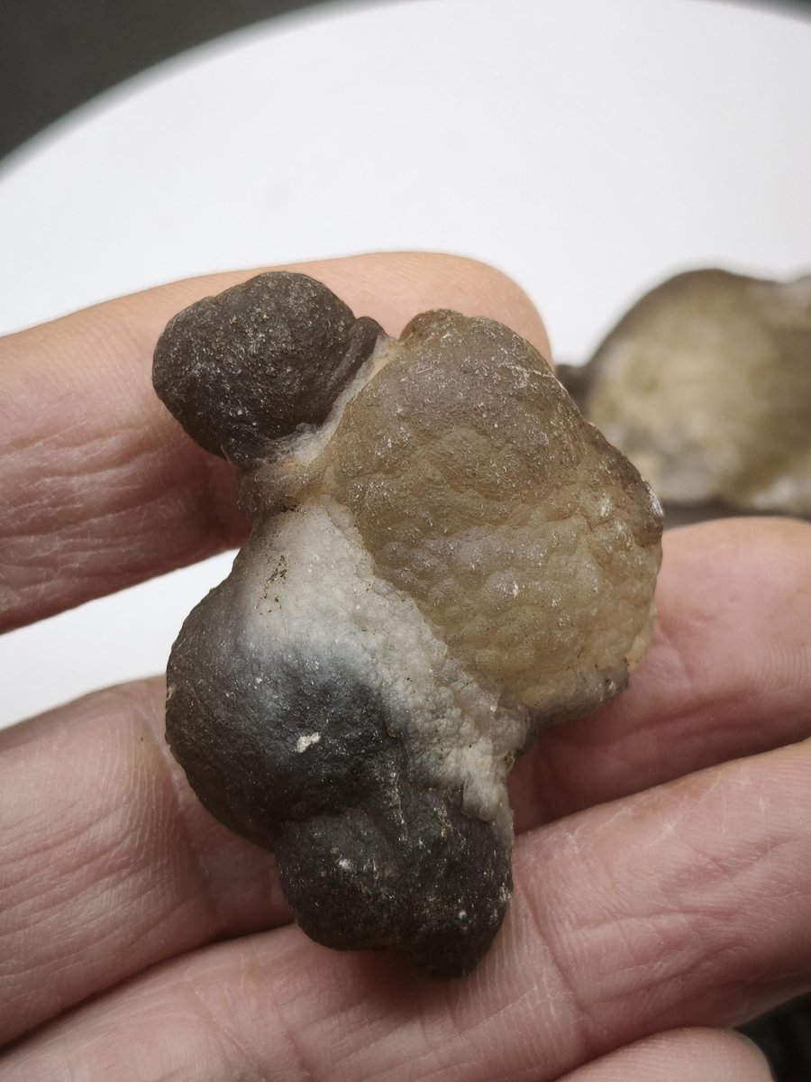 Chalcedon-Knollen aus Marokko – 4 Naturunikate zur Auswahl – 29–45 mm Natur Heilstein Sammler Stufe Kristalle - Art of Nature Berlin