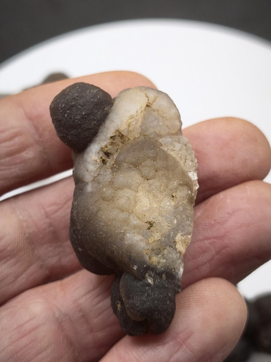 Chalcedon-Knollen aus Marokko – 4 Naturunikate zur Auswahl – 29–45 mm Natur Heilstein Sammler Stufe Kristalle - Art of Nature Berlin