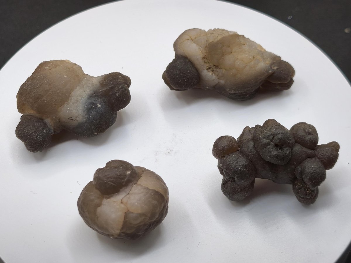 Chalcedon-Knollen aus Marokko – 4 Naturunikate zur Auswahl – 29–45 mm Natur Heilstein Sammler Stufe Kristalle - Art of Nature Berlin