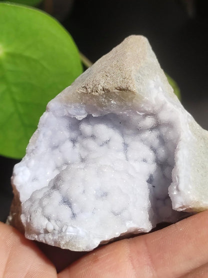 Chalcedon Roh Stufe A - Sammler Deko Edelstein Natur Heilstein Mineralien Energie Chakra Haus Dekoration Geschenk Er Sie Mann Frau blau - Art of Nature Berlin