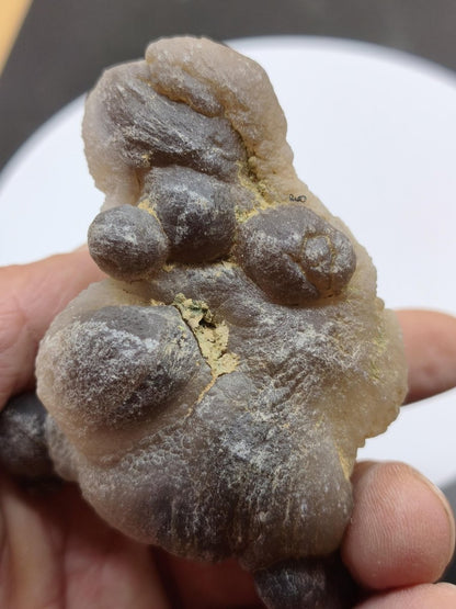 Chalcedon Stufe Knolle Kristall Edelstein Deko Sammler Mineralien Natur Heilstein Roh groß Unikat Wohnen Geschenk Marokko - Art of Nature Berlin