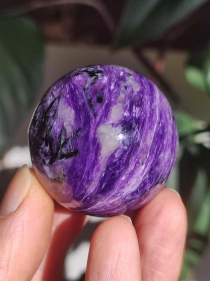 Charoit AAA - Edelstein Kugel lila Natur Heilstein Deko Sphere Kristall Geschenk Er Sie Freund Mann Mineralien Sammler Haus Wohnen Energie - Art of Nature Berlin