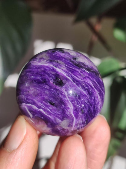 Charoit AAA - Edelstein Kugel lila Natur Heilstein Deko Sphere Kristall Geschenk Er Sie Freund Mann Mineralien Sammler Haus Wohnen Energie - Art of Nature Berlin