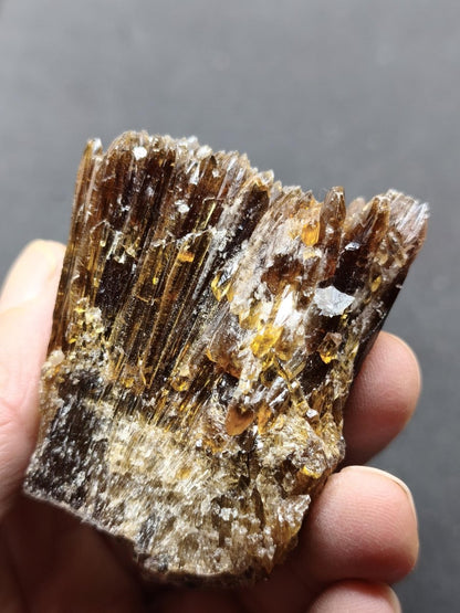 Chocolate Calcit Rohkristall – Honigbraune Kristallstufe mit dunkler Bänderung | Unikat Kristall Deko Heilstein Geschenk Haus Wohnen - Art of Nature Berlin