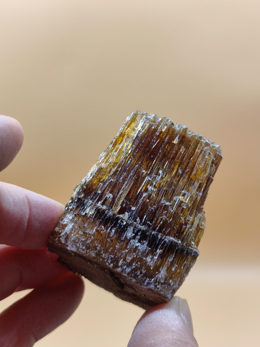 Chocolate Calcit Rohkristall – Honigbraune Kristallstufe mit dunkler Bänderung | Unikat Kristall Deko Heilstein Geschenk Haus Wohnen - Art of Nature Berlin