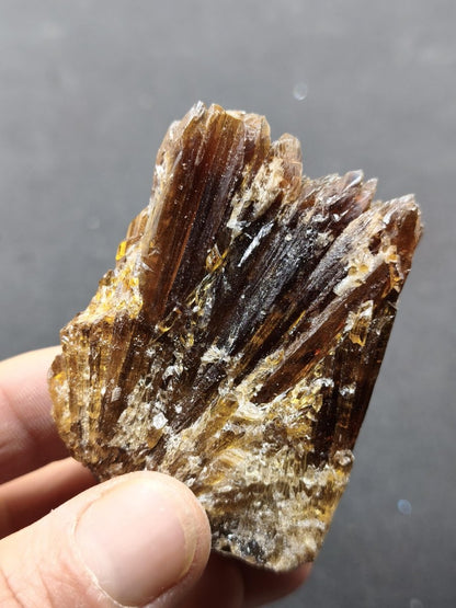 Chocolate Calcit Rohkristall – Honigbraune Kristallstufe mit dunkler Bänderung | Unikat Kristall Deko Heilstein Geschenk Haus Wohnen - Art of Nature Berlin
