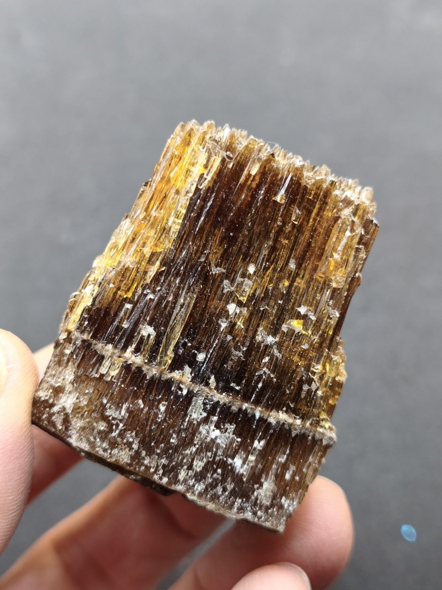 Chocolate Calcit Rohkristall – Honigbraune Kristallstufe mit dunkler Bänderung | Unikat Kristall Deko Heilstein Geschenk Haus Wohnen - Art of Nature Berlin