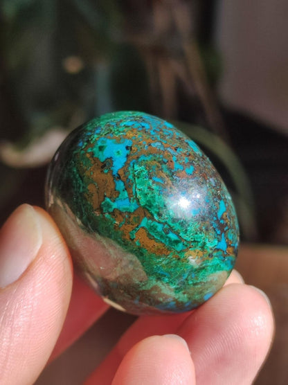 Chrysocoll Handschmeichler AAA Qualität Fair Trade Edelstein flacher Stein Auflegestein Bastel Makramee Heilstein Crysokoll Crysokolla - Art of Nature Berlin