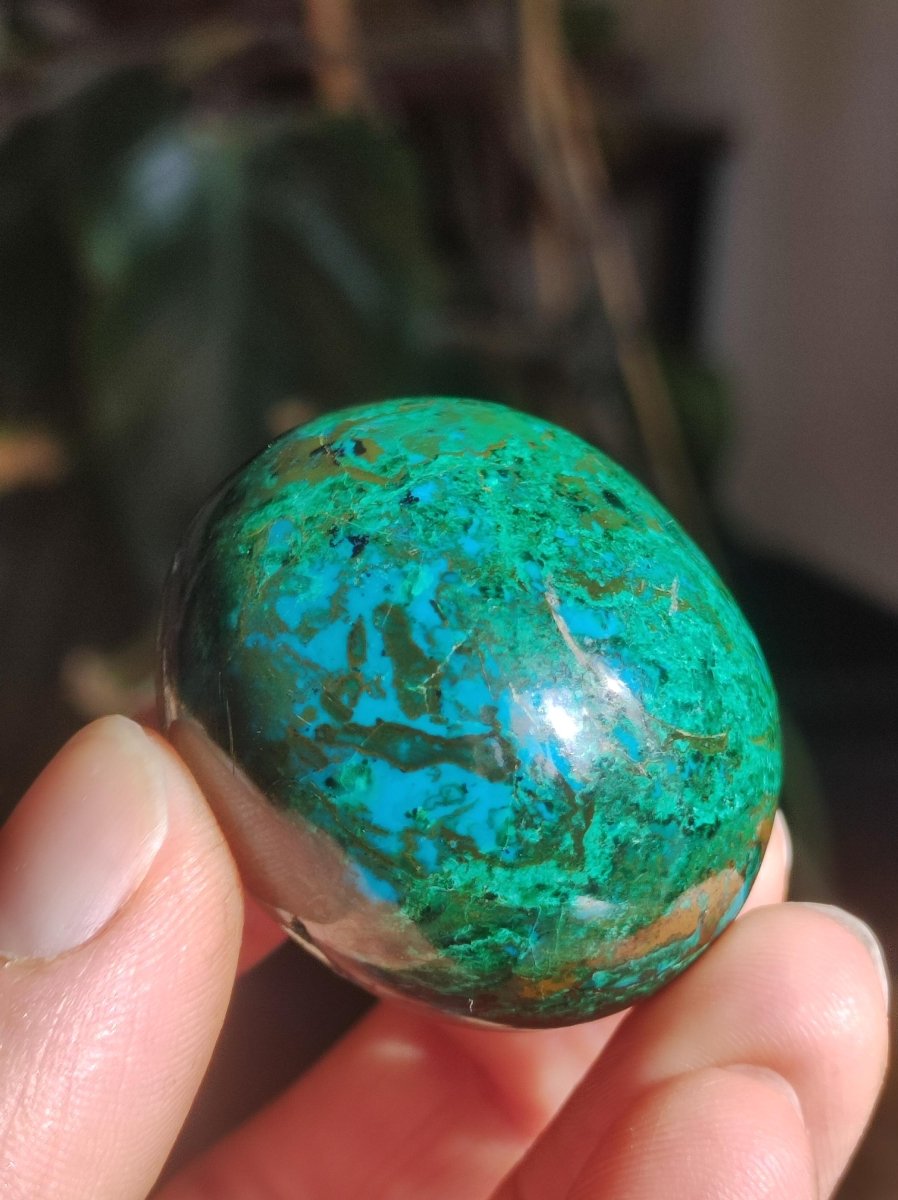 Chrysocoll Handschmeichler AAA Qualität Fair Trade Edelstein flacher Stein Auflegestein Bastel Makramee Heilstein Crysokoll Crysokolla - Art of Nature Berlin