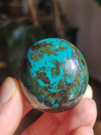 Chrysocoll Handschmeichler AAA Qualität Fair Trade Edelstein flacher Stein Auflegestein Bastel Makramee Heilstein Crysokoll Crysokolla - Art of Nature Berlin