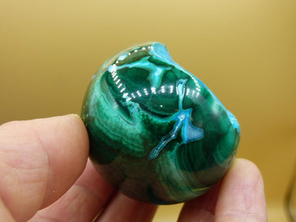 Chrysocoll Malachit botryoidal Kugel Dekostück AAA Edelstein Natur Heilstein Unikat blau grün Mineral Traum Sammlerstück Geschenk Er Sie - Art of Nature Berlin