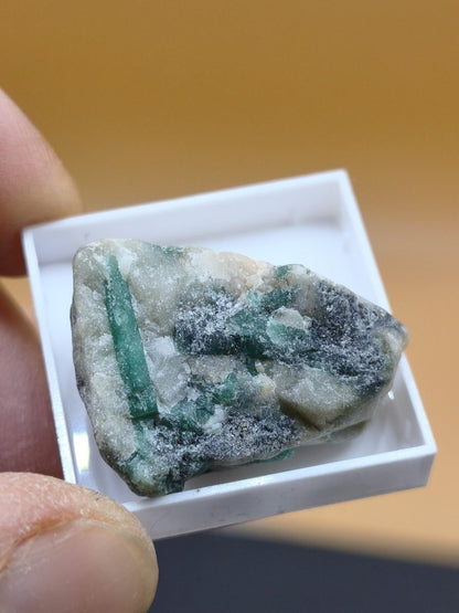 Chrysokoll mit Kristallen – Ray Mine Arizona USA | 4 Unikate zur Wahl Sammler roh Mineralien Stufe Geschenk - Art of Nature Berlin