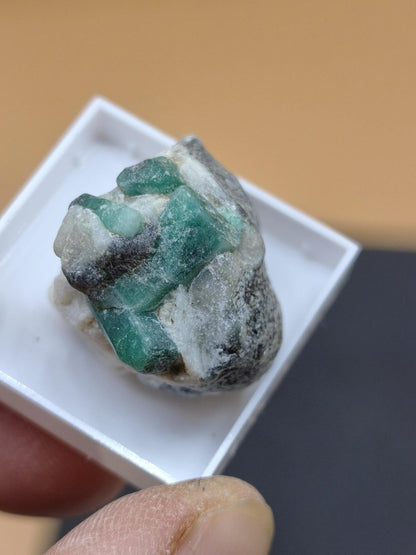 Chrysokoll mit Kristallen – Ray Mine Arizona USA | 4 Unikate zur Wahl Sammler roh Mineralien Stufe Geschenk - Art of Nature Berlin
