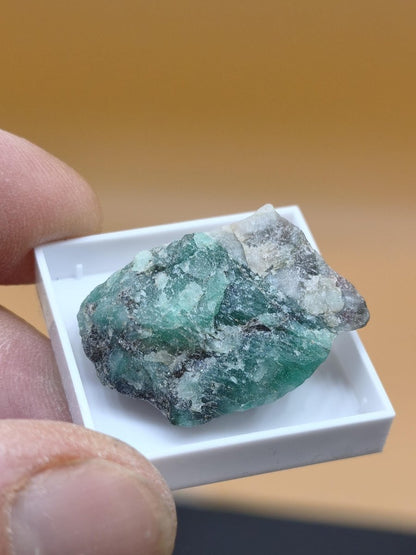 Chrysokoll mit Kristallen – Ray Mine Arizona USA | 4 Unikate zur Wahl Sammler roh Mineralien Stufe Geschenk - Art of Nature Berlin