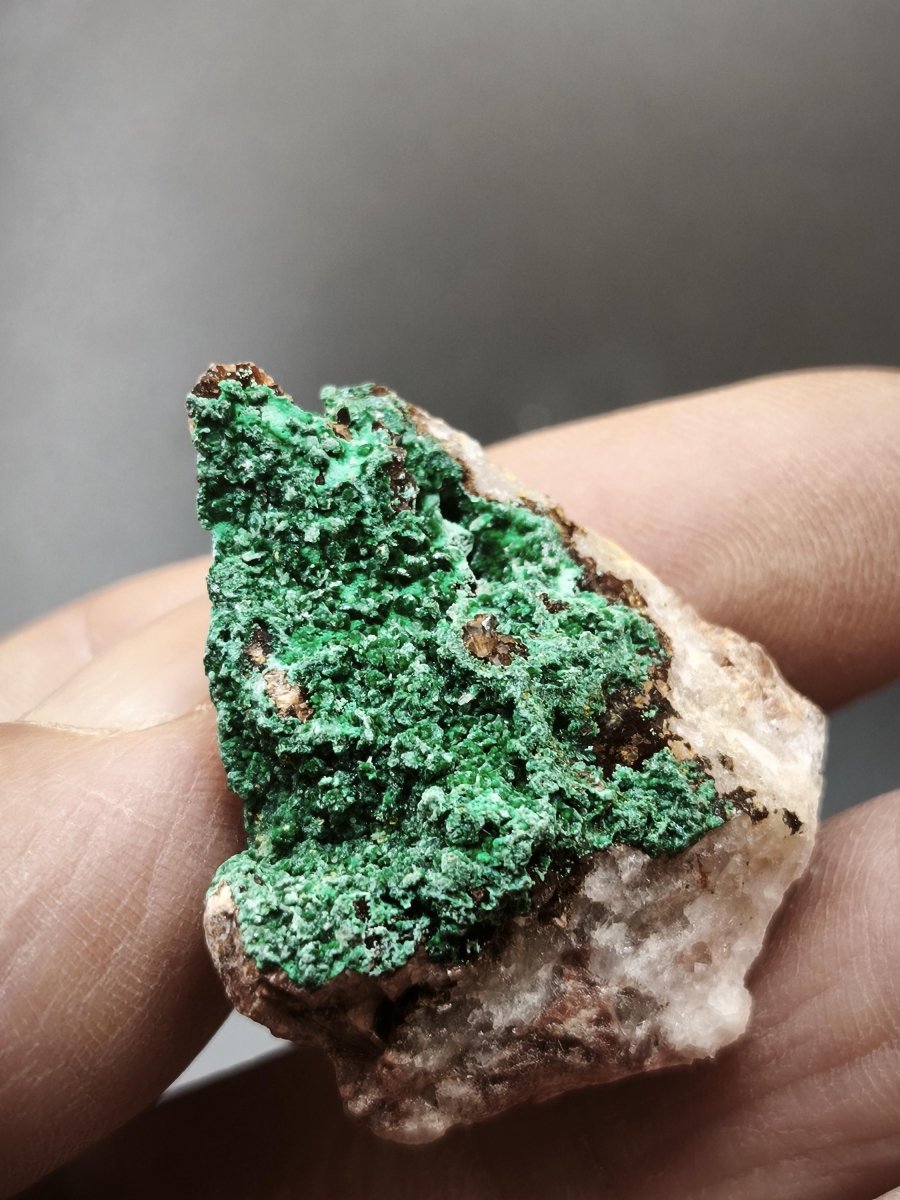 Chrysokoll Stufe auf braun-weißer Quarzmatrix – aus Marokko Edelstein Mineral Sammler Natur Grün Heilstein Unikat Rarität Geschenk Sammler - Art of Nature Berlin