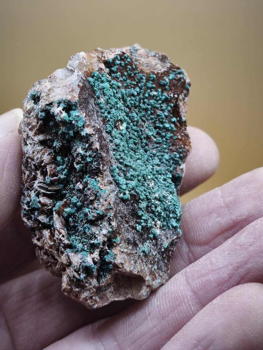 Chrysokoll Stufe auf braun-weißer Quarzmatrix – aus Marokko Edelstein Mineral Sammler Natur Grün Heilstein Unikat Rarität Geschenk Sammler - Art of Nature Berlin