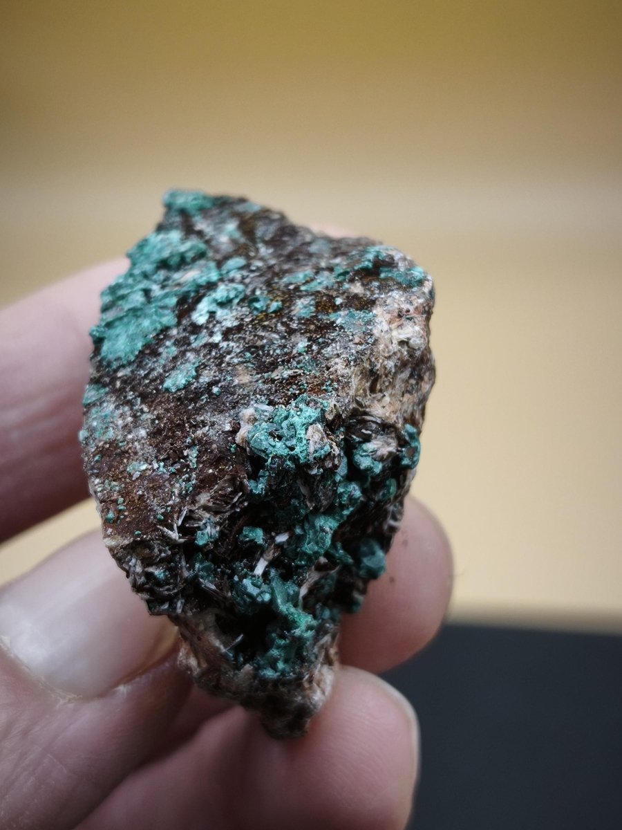 Chrysokoll Stufe auf braun-weißer Quarzmatrix – aus Marokko Edelstein Mineral Sammler Natur Grün Heilstein Unikat Rarität Geschenk Sammler - Art of Nature Berlin
