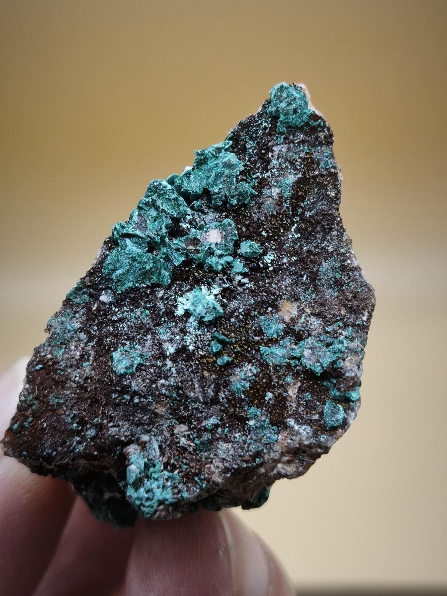 Chrysokoll Stufe auf braun-weißer Quarzmatrix – aus Marokko Edelstein Mineral Sammler Natur Grün Heilstein Unikat Rarität Geschenk Sammler - Art of Nature Berlin