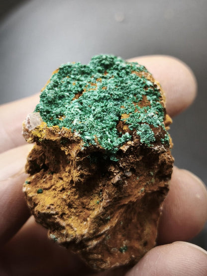 Chrysokoll Stufe auf braun-weißer Quarzmatrix – aus Marokko Edelstein Mineral Sammler Natur Grün Heilstein Unikat Rarität Geschenk Sammler - Art of Nature Berlin