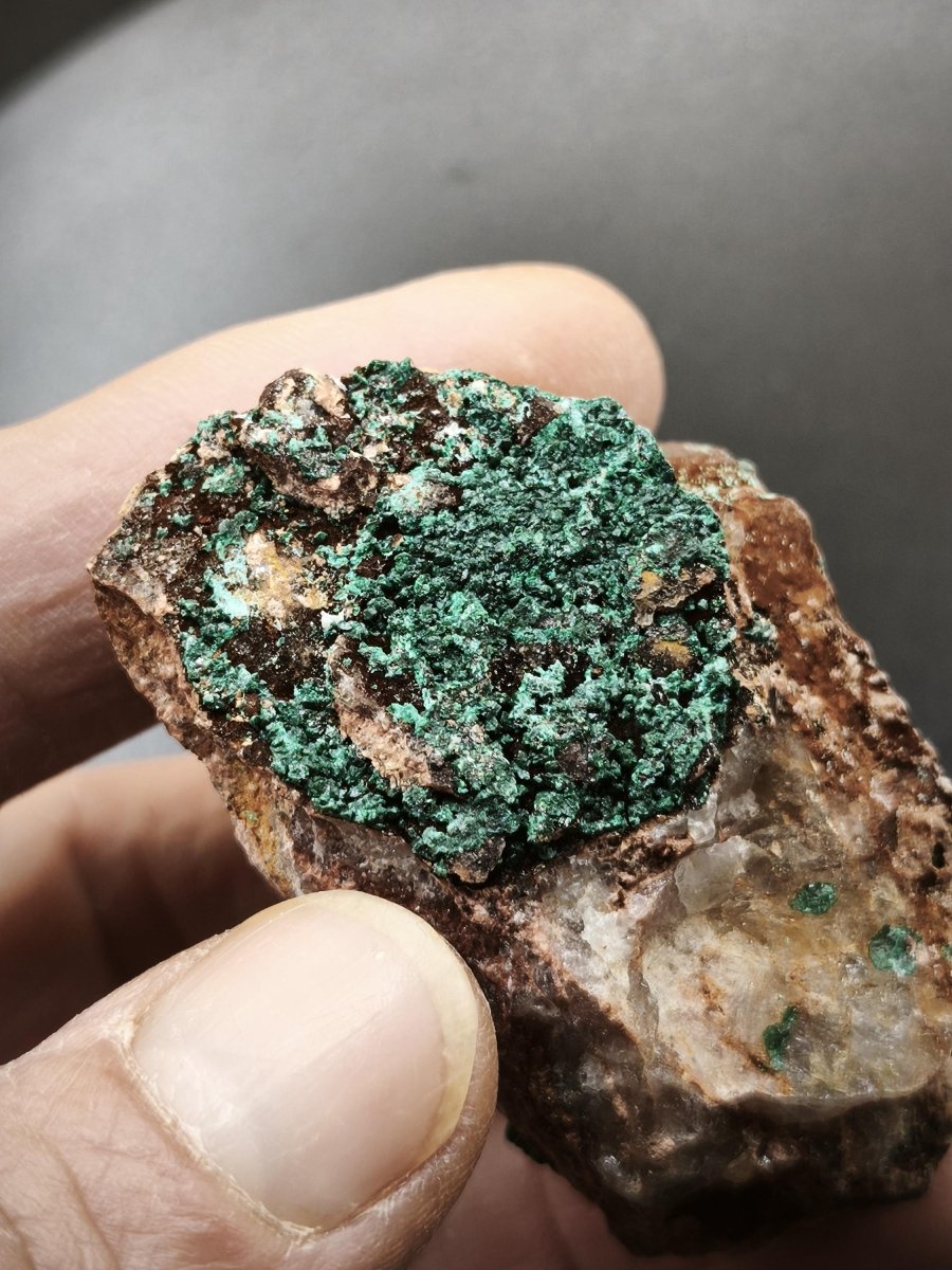 Chrysokoll Stufe auf braun-weißer Quarzmatrix – aus Marokko Edelstein Mineral Sammler Natur Grün Heilstein Unikat Rarität Geschenk Sammler - Art of Nature Berlin