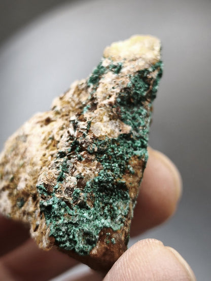 Chrysokoll Stufe auf braun-weißer Quarzmatrix – aus Marokko Edelstein Mineral Sammler Natur Grün Heilstein Unikat Rarität Geschenk Sammler - Art of Nature Berlin