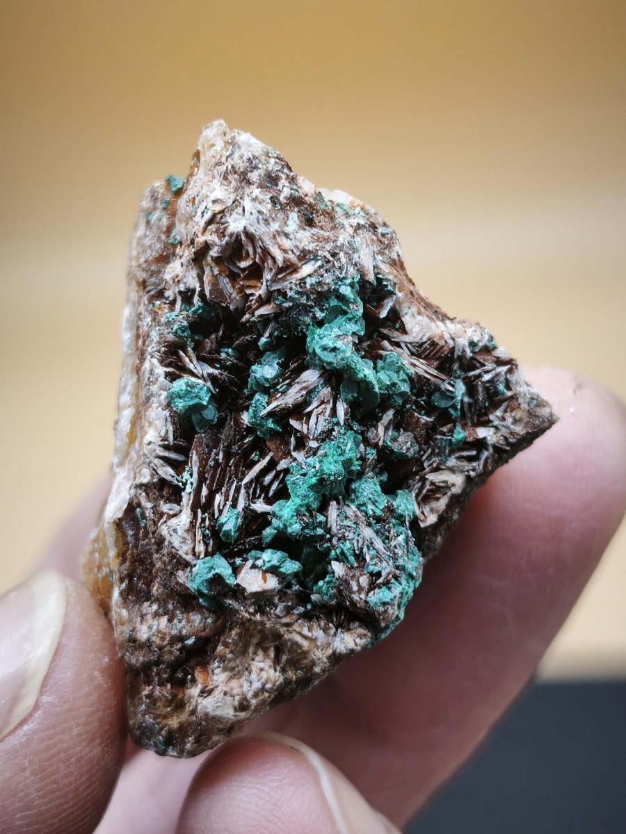 Chrysokoll Stufe auf braun-weißer Quarzmatrix – aus Marokko Edelstein Mineral Sammler Natur Grün Heilstein Unikat Rarität Geschenk Sammler - Art of Nature Berlin