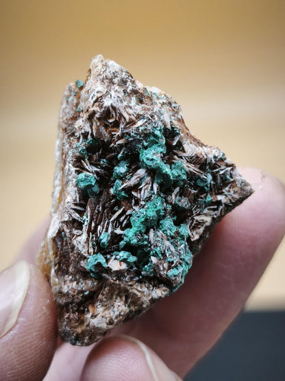 Chrysokoll Stufe auf braun-weißer Quarzmatrix – aus Marokko Edelstein Mineral Sammler Natur Grün Heilstein Unikat Rarität Geschenk Sammler - Art of Nature Berlin