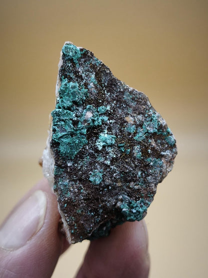 Chrysokoll Stufe auf braun-weißer Quarzmatrix – aus Marokko Edelstein Mineral Sammler Natur Grün Heilstein Unikat Rarität Geschenk Sammler - Art of Nature Berlin