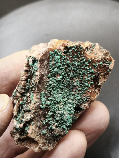Chrysokoll Stufe auf braun-weißer Quarzmatrix – aus Marokko Edelstein Mineral Sammler Natur Grün Heilstein Unikat Rarität Geschenk Sammler - Art of Nature Berlin