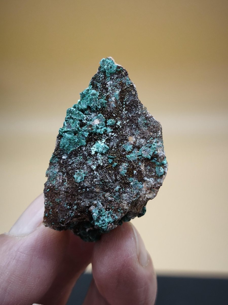 Chrysokoll Stufe auf braun-weißer Quarzmatrix – aus Marokko Edelstein Mineral Sammler Natur Grün Heilstein Unikat Rarität Geschenk Sammler - Art of Nature Berlin