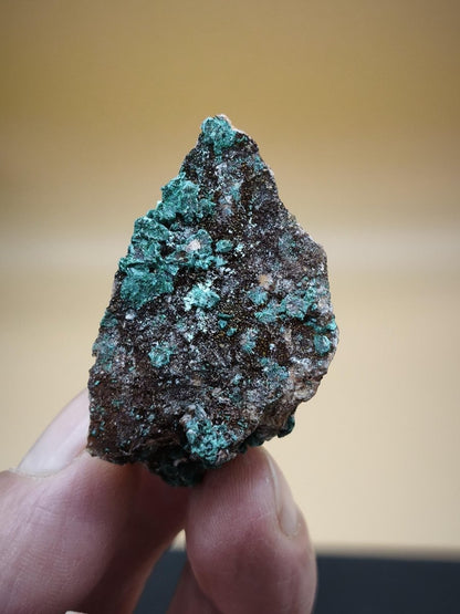 Chrysokoll Stufe auf braun-weißer Quarzmatrix – aus Marokko Edelstein Mineral Sammler Natur Grün Heilstein Unikat Rarität Geschenk Sammler - Art of Nature Berlin