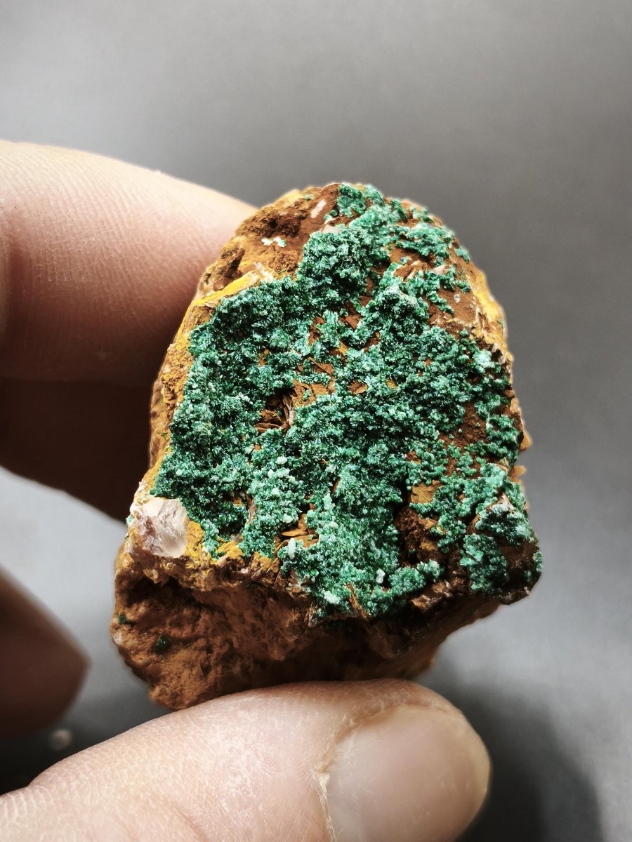 Chrysokoll Stufe auf braun-weißer Quarzmatrix – aus Marokko Edelstein Mineral Sammler Natur Grün Heilstein Unikat Rarität Geschenk Sammler - Art of Nature Berlin