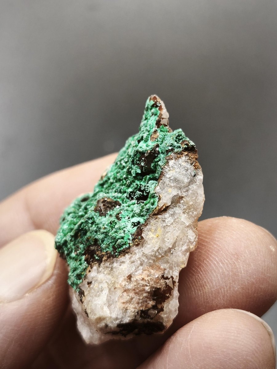 Chrysokoll Stufe auf braun-weißer Quarzmatrix – aus Marokko Edelstein Mineral Sammler Natur Grün Heilstein Unikat Rarität Geschenk Sammler - Art of Nature Berlin