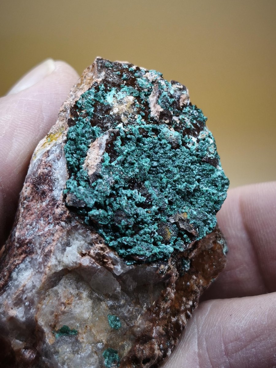 Chrysokoll Stufe auf braun-weißer Quarzmatrix – aus Marokko Edelstein Mineral Sammler Natur Grün Heilstein Unikat Rarität Geschenk Sammler - Art of Nature Berlin