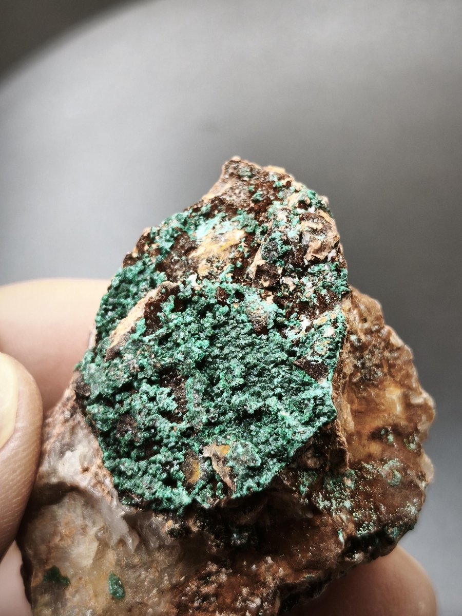 Chrysokoll Stufe auf braun-weißer Quarzmatrix – aus Marokko Edelstein Mineral Sammler Natur Grün Heilstein Unikat Rarität Geschenk Sammler - Art of Nature Berlin