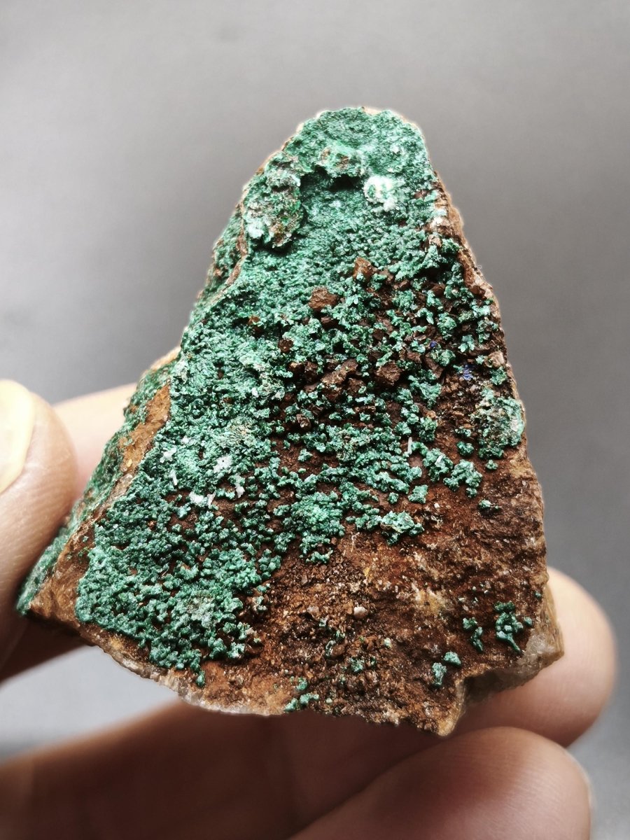 Chrysokoll Stufe auf braun-weißer Quarzmatrix – aus Marokko Edelstein Mineral Sammler Natur Grün Heilstein Unikat Rarität Geschenk Sammler - Art of Nature Berlin