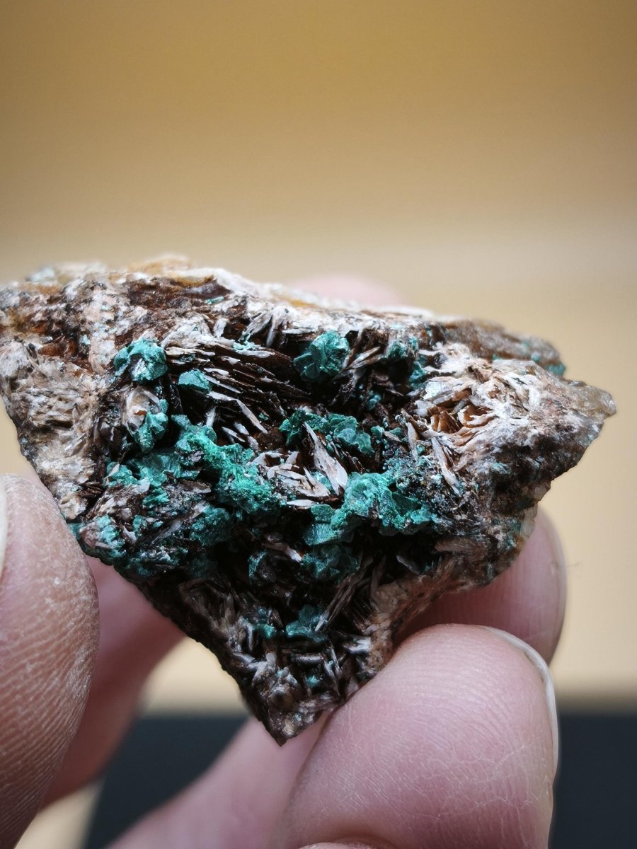 Chrysokoll Stufe auf braun-weißer Quarzmatrix – aus Marokko Edelstein Mineral Sammler Natur Grün Heilstein Unikat Rarität Geschenk Sammler - Art of Nature Berlin