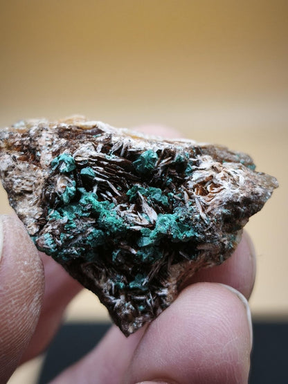 Chrysokoll Stufe auf braun-weißer Quarzmatrix – aus Marokko Edelstein Mineral Sammler Natur Grün Heilstein Unikat Rarität Geschenk Sammler - Art of Nature Berlin
