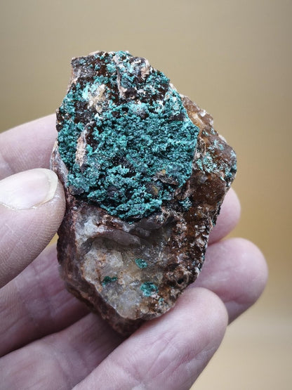 Chrysokoll Stufe auf braun-weißer Quarzmatrix – aus Marokko Edelstein Mineral Sammler Natur Grün Heilstein Unikat Rarität Geschenk Sammler - Art of Nature Berlin