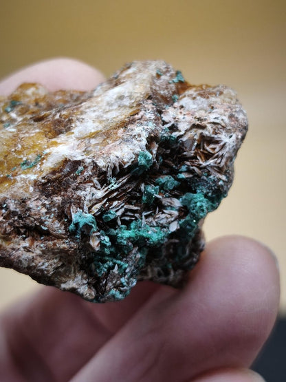 Chrysokoll Stufe auf braun-weißer Quarzmatrix – aus Marokko Edelstein Mineral Sammler Natur Grün Heilstein Unikat Rarität Geschenk Sammler - Art of Nature Berlin
