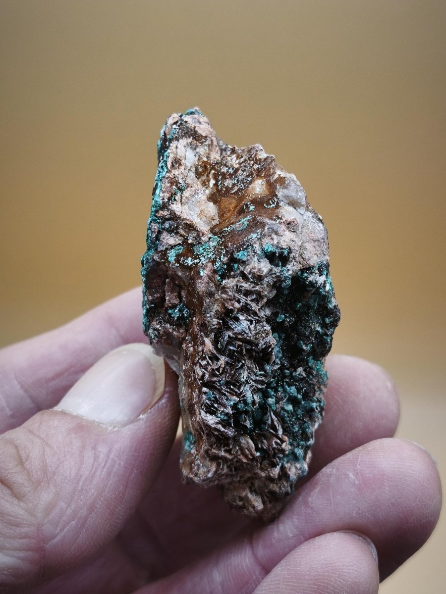 Chrysokoll Stufe auf braun-weißer Quarzmatrix – aus Marokko Edelstein Mineral Sammler Natur Grün Heilstein Unikat Rarität Geschenk Sammler - Art of Nature Berlin