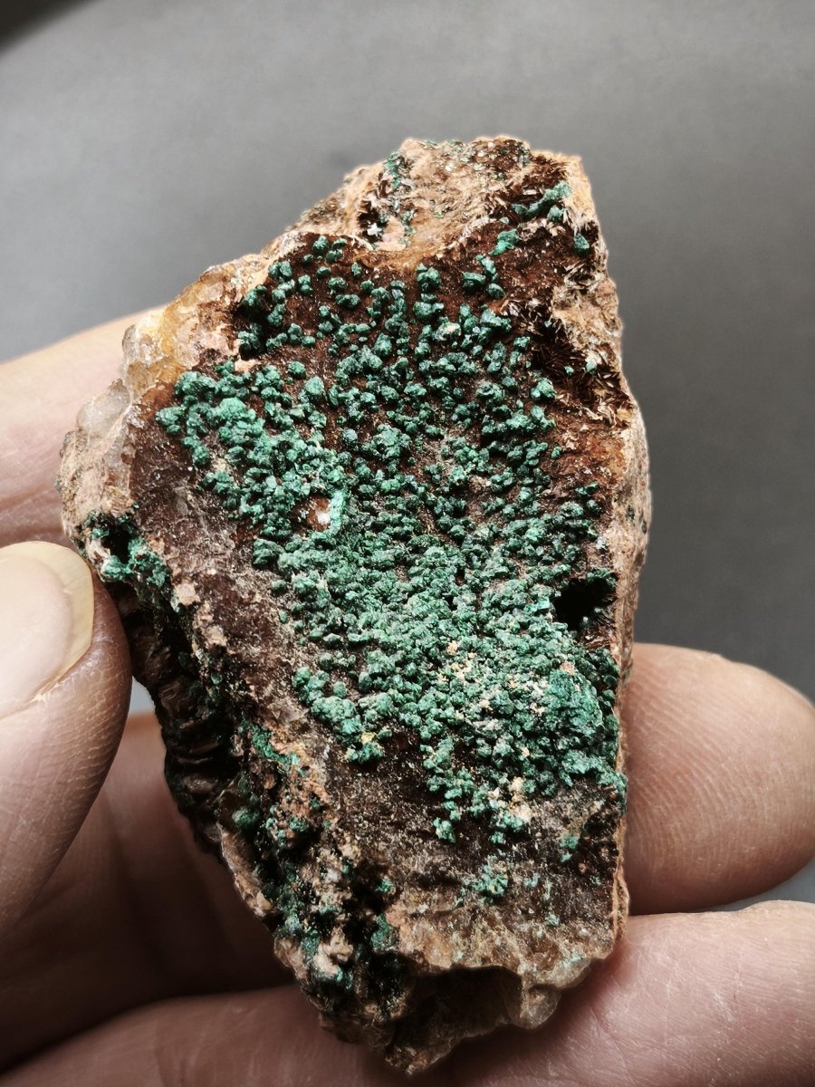 Chrysokoll Stufe auf braun-weißer Quarzmatrix – aus Marokko Edelstein Mineral Sammler Natur Grün Heilstein Unikat Rarität Geschenk Sammler - Art of Nature Berlin