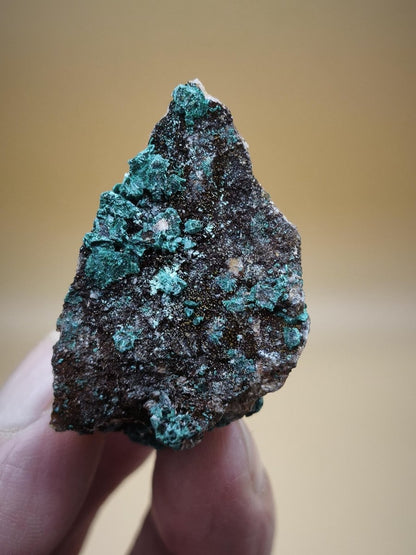 Chrysokoll Stufe auf braun-weißer Quarzmatrix – aus Marokko Edelstein Mineral Sammler Natur Grün Heilstein Unikat Rarität Geschenk Sammler - Art of Nature Berlin