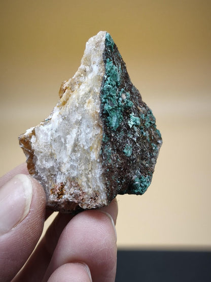 Chrysokoll Stufe auf braun-weißer Quarzmatrix – aus Marokko Edelstein Mineral Sammler Natur Grün Heilstein Unikat Rarität Geschenk Sammler - Art of Nature Berlin