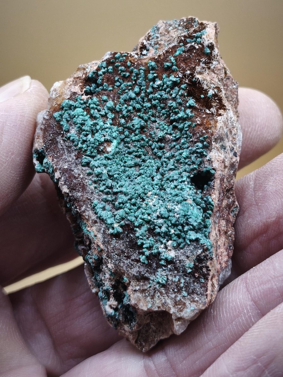 Chrysokoll Stufe auf braun-weißer Quarzmatrix – aus Marokko Edelstein Mineral Sammler Natur Grün Heilstein Unikat Rarität Geschenk Sammler - Art of Nature Berlin