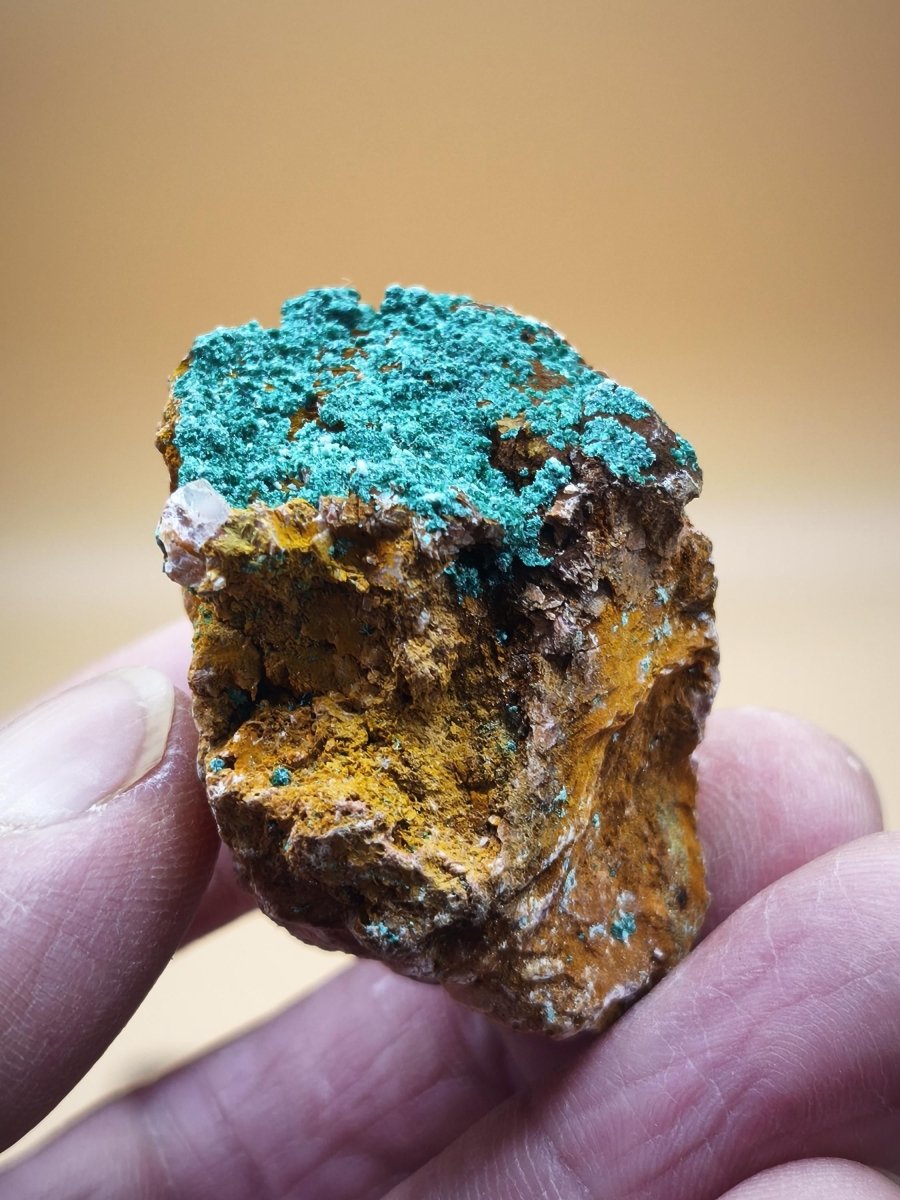 Chrysokoll Stufe auf braun-weißer Quarzmatrix – aus Marokko Edelstein Mineral Sammler Natur Grün Heilstein Unikat Rarität Geschenk Sammler - Art of Nature Berlin